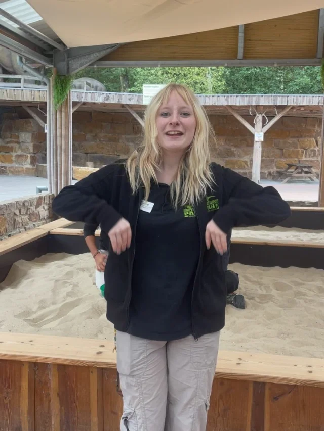 Wir freuen uns auf euch 🦖🦕#dinosaurierpark #dinoparkmünchehagen #freilichtmuseum #naturdenkmal