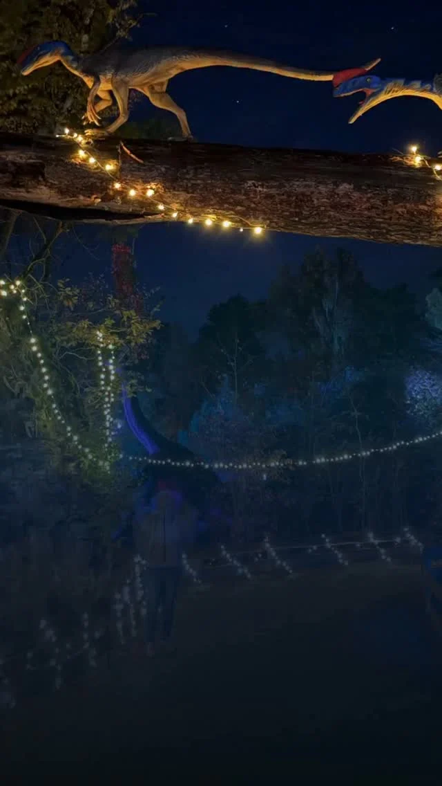🌙🦖 Dinos im Dunkeln sind zurück! 
Vom 25.10. bis 01.11. könnt ihr unseren Park täglich von 10 bis 20 Uhr auf ganz besondere Weise entdecken. Freut euch auf spannende Aktionen, geheimnisvolle Wege und leuchtende Überraschungen! ✨
🔦Ganz wichtig: Taschenlampe nicht vergessen! Denn nicht alles ist beleuchtet. Und genau das macht das Abenteuer so besonders. 👀 
Wir freuen uns auf euch! 🦕

#dinosaurierpark #dinoparkmünchehagen #freilichtmuseum #naturdenkmal #dinosimdunkeln